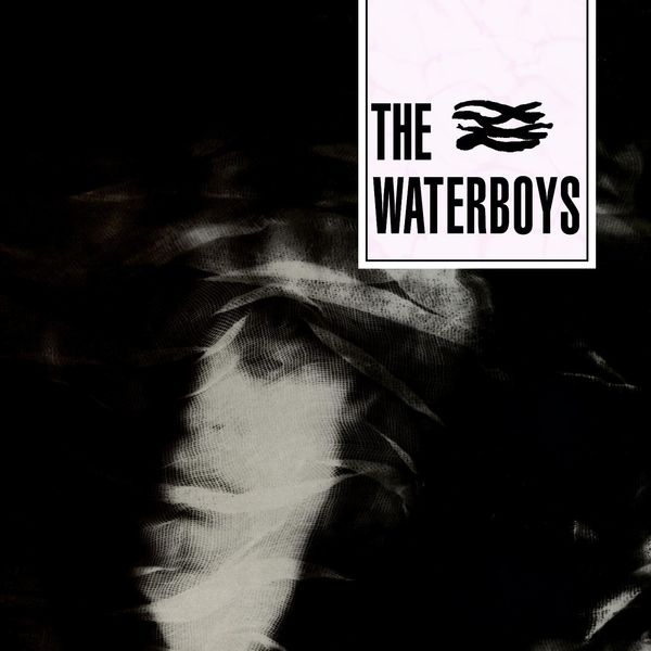 Cover of The Waterboys - 'The Waterboys (Remastered reissue)'